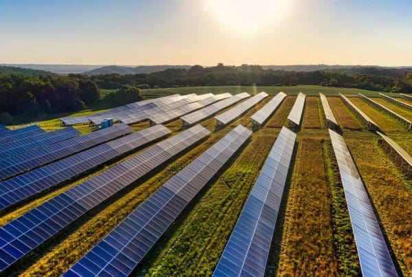 Navigating the Tariff Tide: What Solar Installers Need to Know Now