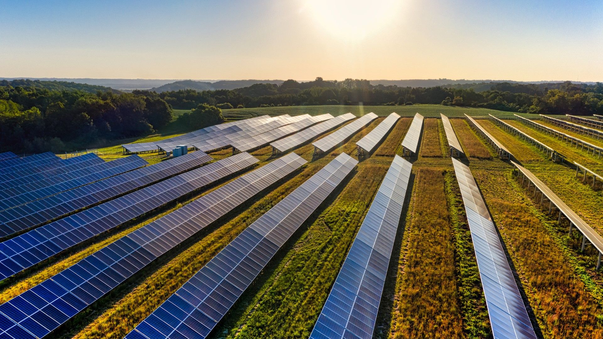 Navigating the Tariff Tide: What Solar Installers Need to Know Now